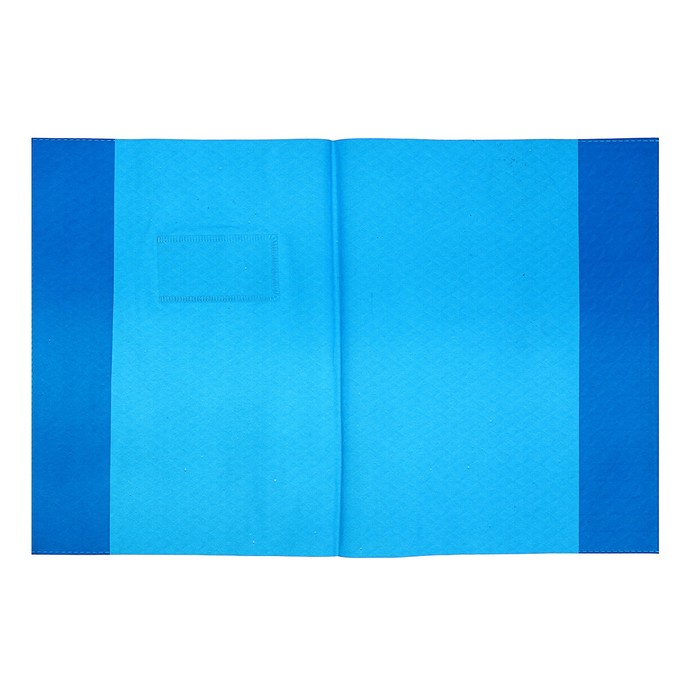 Обложка для дневника и тетрадей 120мк 250*360мм МИКС