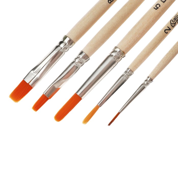 Набор кистей Синтетика 5 штук, Calligrata №2 (круглые №: 1, 2, 5; плоские: №5, 8), деревянная ручка
