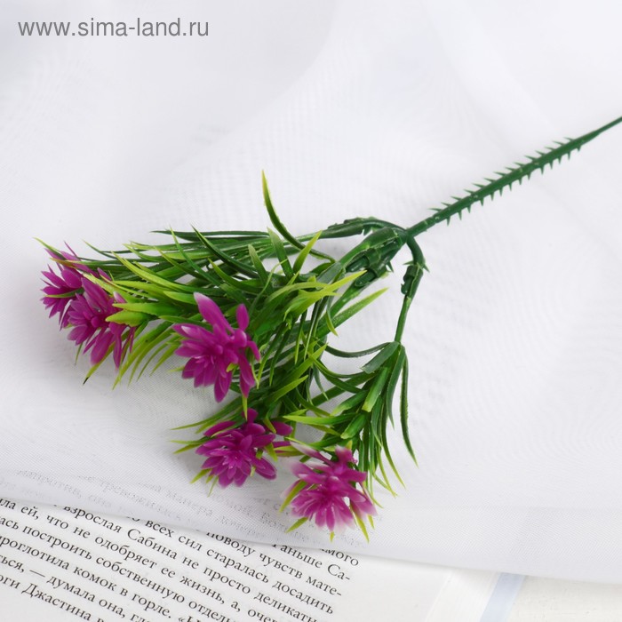 

Букет "Эхеверия и листики" 18 см, микс