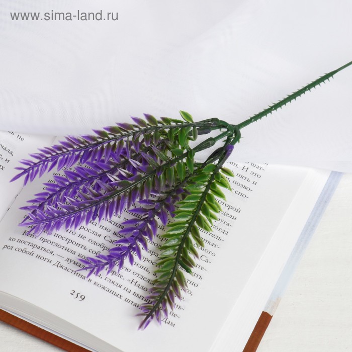 

Букет "Веточки колючки" 24 см, микс