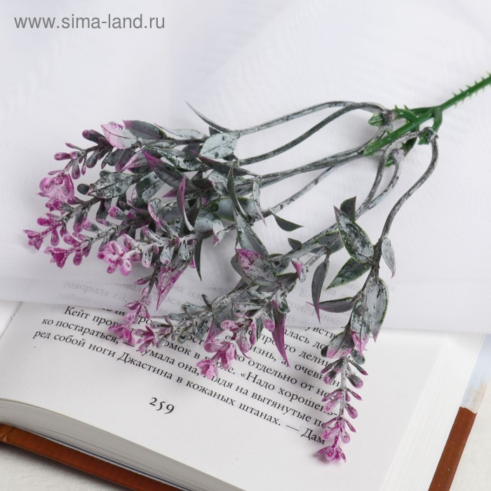 

Букет "Чабрец" 23 см, микс