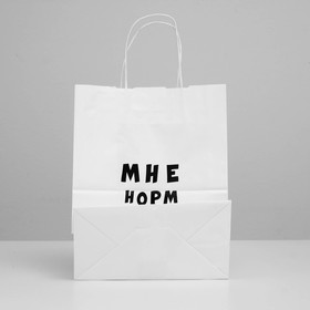

Пакет подарочный с приколами «Мне норм», 24 х 14 х 30 см