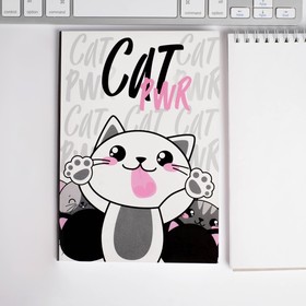 

Набор: ежедневник и планинг "CAT PWR"