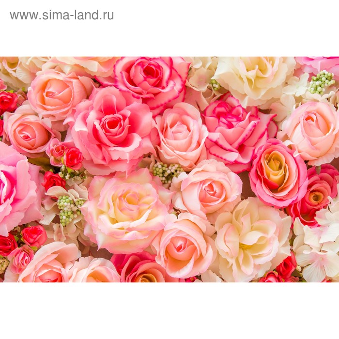 Фотобаннер, 250 × 200 см, с фотопечатью, люверсы шаг 1 м, «Розы» фотобаннер 250 × 200 см с фотопечатью люверсы шаг 1 м фасад в цветах