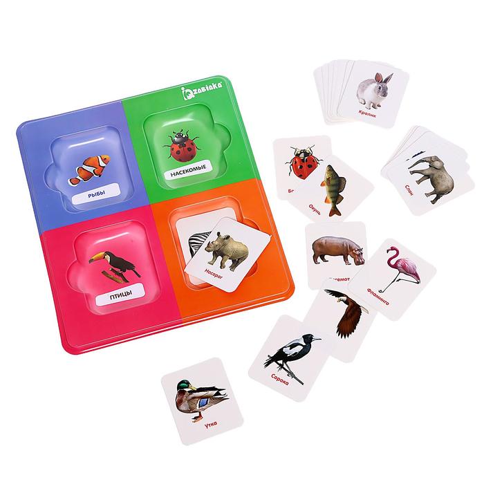 Сортер «Изучаем животный мир» с карточками Домана