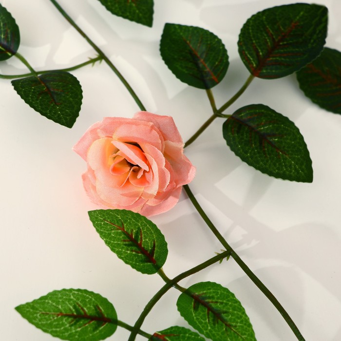 Лиана 1,9 м роза чайная цена за 1 шт. (в упаковке 2 шт.) МИКС