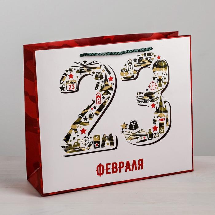 

Пакет ламинированный горизонтальный «23 февраля», MS 23 × 18 × 10 см