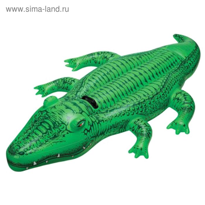 Игрушка для плавания «Крокодил», 168 х 86 см, от 3 лет, 58546NP INTEX игрушка надувная для плавания крокодил 168 86см малый 58546np
