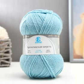 

Пряжа "Аргентинская шерсть" 100% импортная п/т шерсть 200м/100гр (014,голуб. св.)