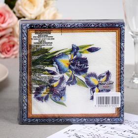 

Салфетки бумажные New Line FRESCO «Ирис», 2 слоя, 33*33 см, 20 шт.