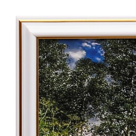 

Картина "Цветочное поле у леса" 40х50 см (43х53 см)