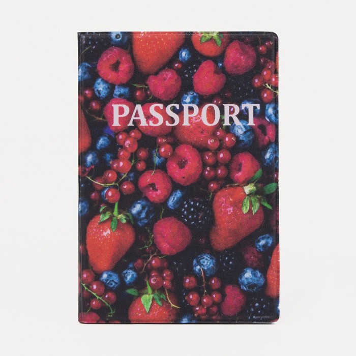 Обложка для паспорта, цвет разноцветный