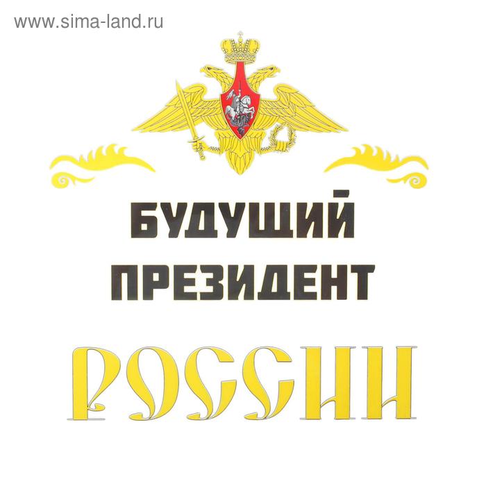   Сима-Ленд Термонаклейка на листе «Будущий президент России», набор 10 шт., 21 × 21 см