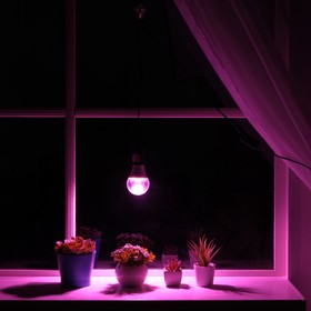 Светильник для растений 15 Вт, 12 мкмоль/с, провод 1,7 метра с выключателем, липучка на окно Ош