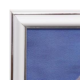 

Картина "Верность лебедей" 25х35 см (28х38см)