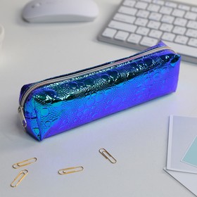 

Пенал школьный «Живые капли», голографически-зеркальный, на молнии, МИКС