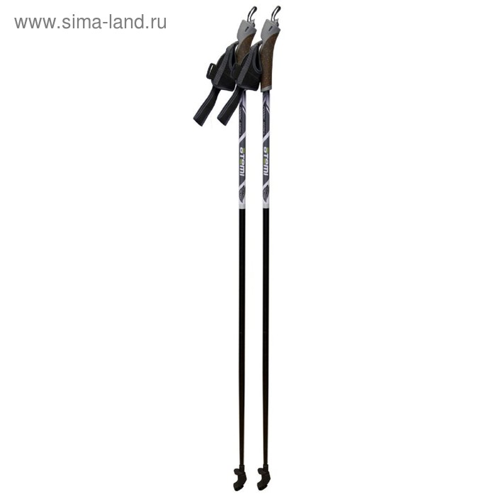 Палки для скандинавской ходьбы Atemi ATP-02, стекловолокно, 100 см