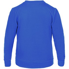 

Свитшот детский Toima Kids, рост 154-164 см, цвет ярко-синий