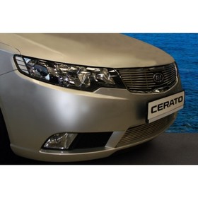 

Декоративный элемент решётки радиатора d10 (1 элемент из 9 трубочек) "Kia Cerato" хром, KCER.92.2257