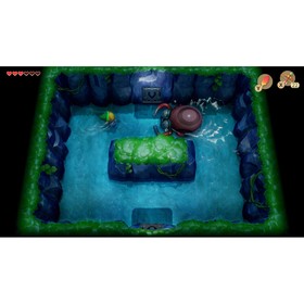 Игра для Nintendo Switch: The Legend of Zelda: Link's Awakening от Сима-ленд