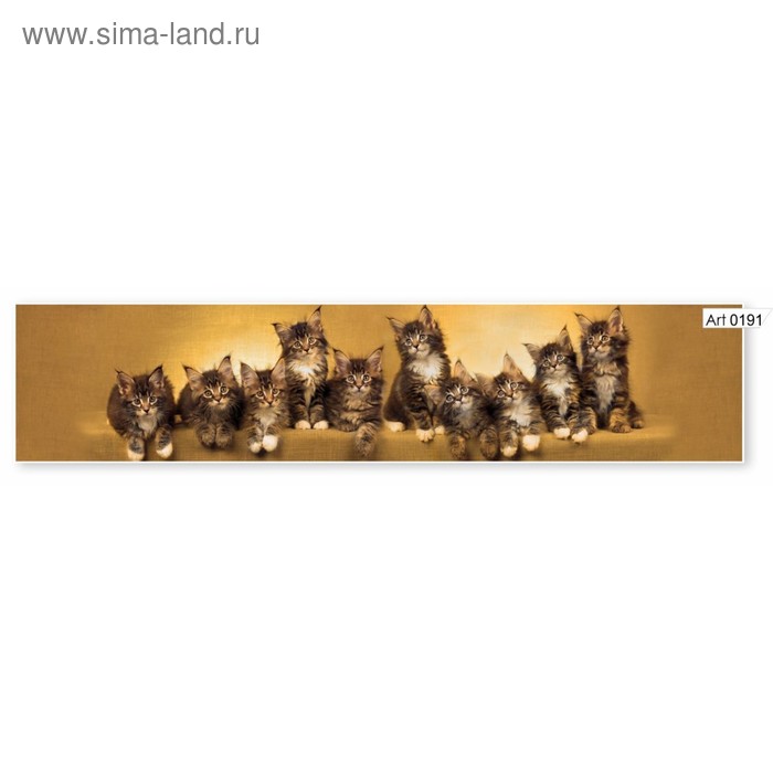 

Фартук кухонный МДФ PANDA Котята, 0191