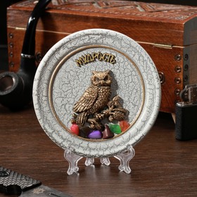 Тарелка сувенирная 'Сова на ветке', керамика, гипс, минералы, d=11 см Ош