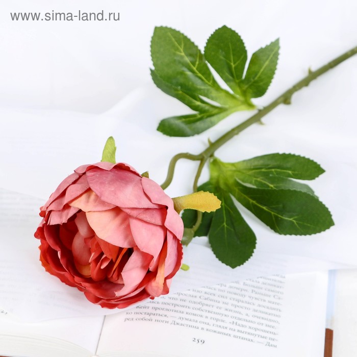 Цветы искусственные Пышный пион 7х47 см, пепельно-розовый цветы искусственные роза гран при 8х56 см пепельно розовый