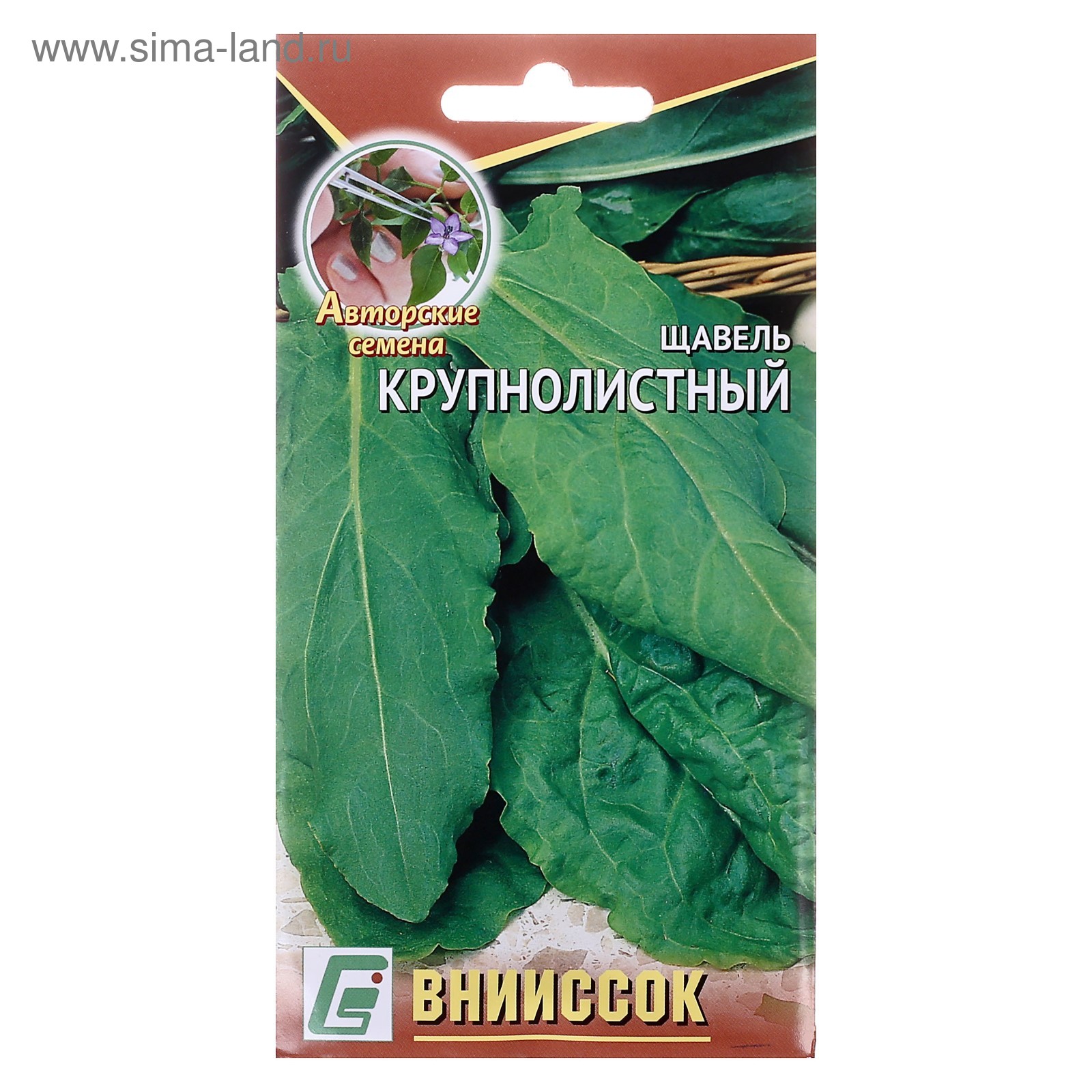 Купить Семена Щавеля В Интернет Магазине