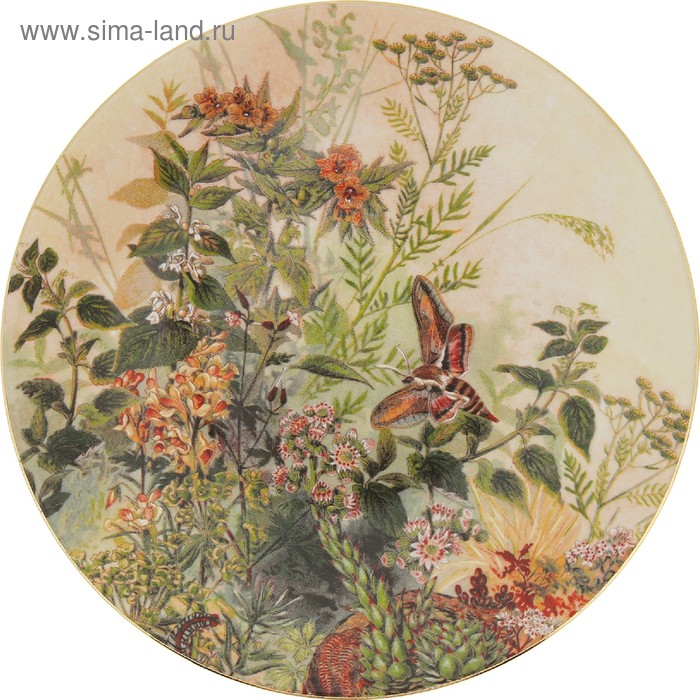 фото Тарелка настенная 27 см, декор "бабочка" thun 1794 a.s.