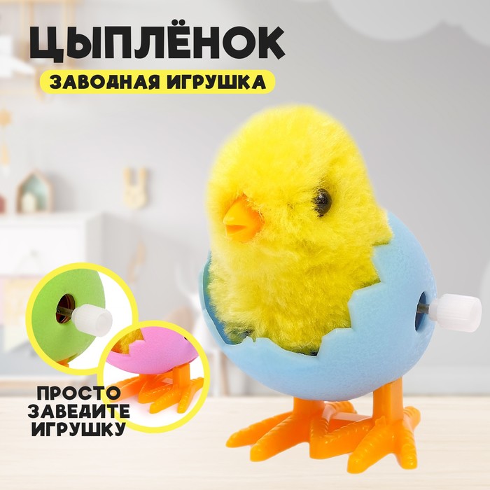 Заводная игрушка «Цыплёнок в яйце», МИКС игрушка заводная цыплёнок