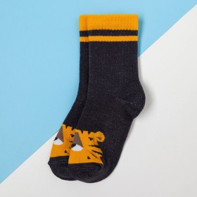 

Носки детские KAFTAN «Тигр», размер 16-18, цвет серый