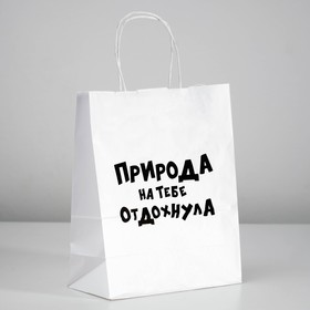 

Пакет подарочный с приколами «Природа на тебе отдохнула», 24 х 14 х 30 см