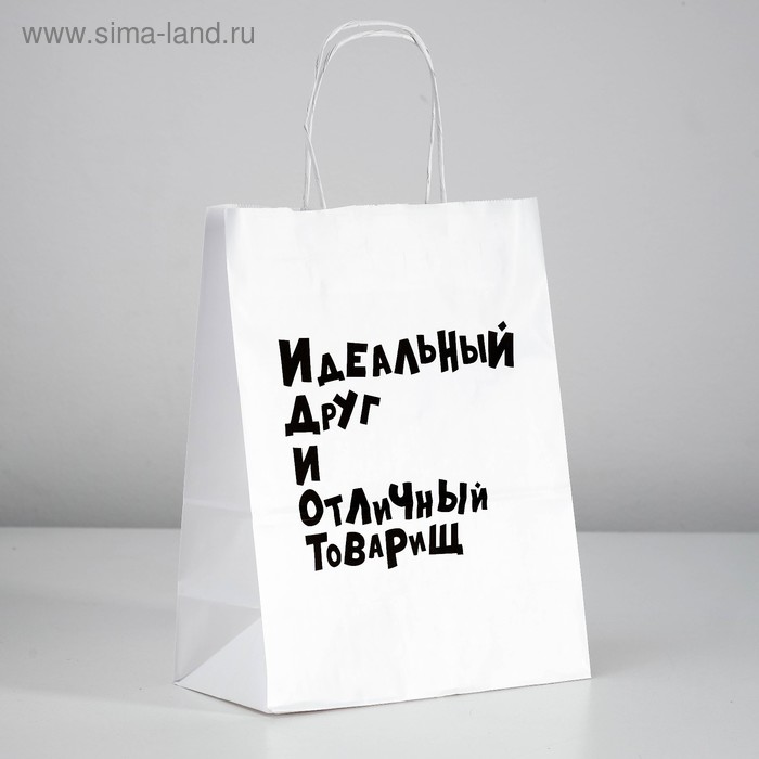

Пакет подарочный с приколами «Идеальный Друг И Отличный Товарищ», 24 х 14 х 30 см