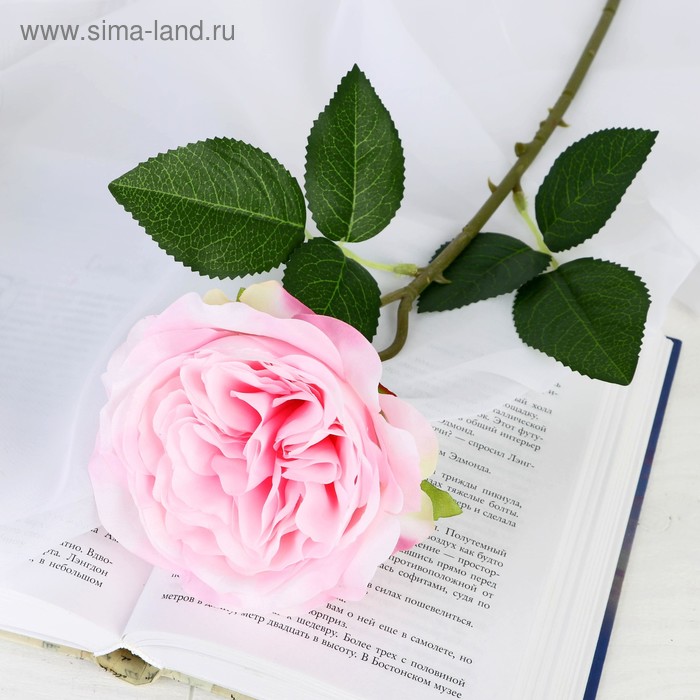 цена Цветок искусственный Роза Прима 11х45 см, розовый