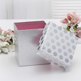 

Набор коробок 3 в 1 "Горох", 19,5 х 19,5 х 20 - 15,5 х 15,5 х 14,5 см