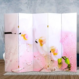 Ширма "Орхидея и капли воды", 250 × 160см