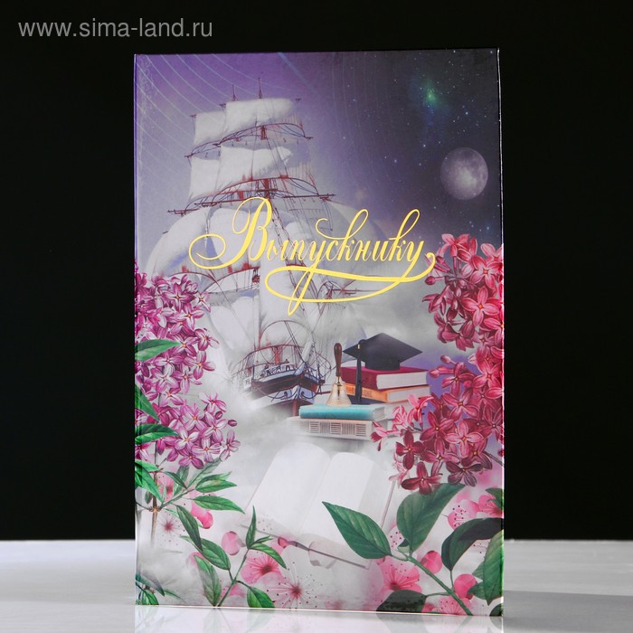 

Папка адресная "Выпускнику" тиснение, космос, А4