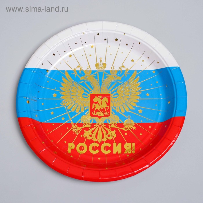  Тарелка бумажная «Россия», триколор, набор 6 шт., 23 см