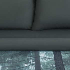 

Постельное бельё «Этель» 2 сп Wildlife 175*215 см, 200*220 см, 70*70 см - 2 шт
