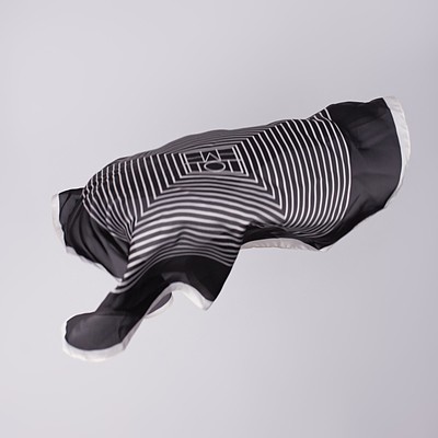 описание_картинки