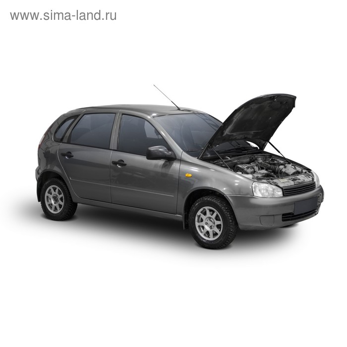 

Газовые упоры капота АвтоУпор для Lada Kalina I 2004-2013, 2 шт., ULAKAL011