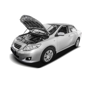 

Амортизаторы капота "АвтоУПОР", Toyota Corolla 2006-2013, 2 шт., UTOCOR021