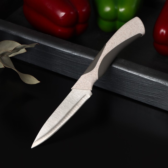 Нож для овощей кухонный Доляна «Мезури», лезвие 9,5 см, цвет МИКС