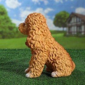 

Садовая фигура "Собака Пудель" рыжий 17х29х29см