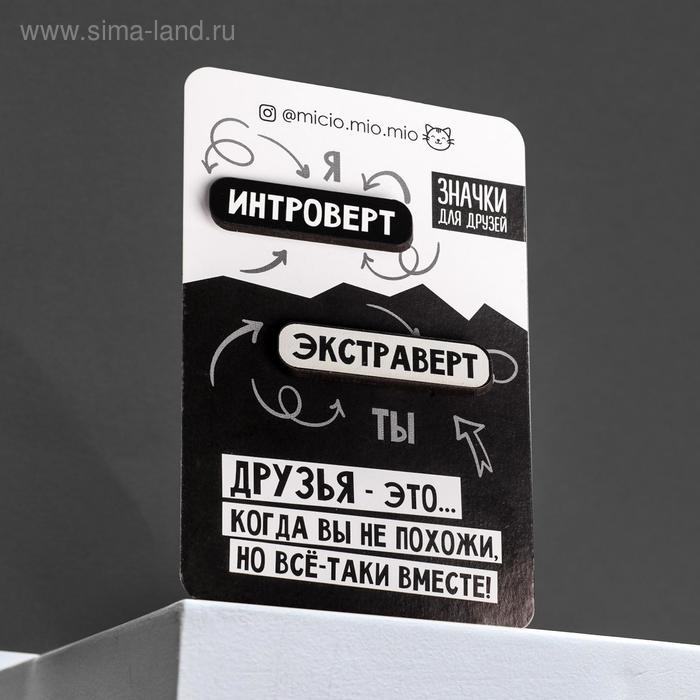 

Значки для друзей «Интроверт vs. экстраверт», 8 х 12 см