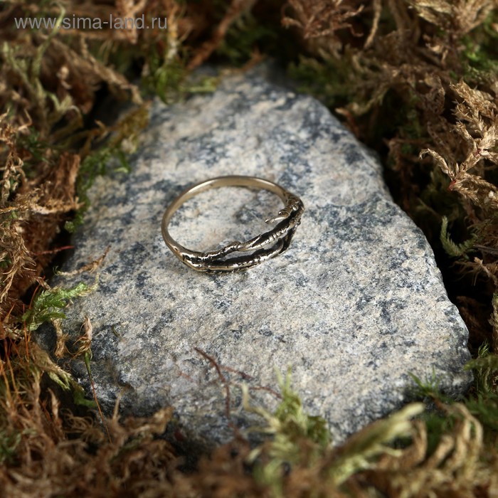 Кольцо-амулет «Объятия ящера», латунь кольцо амулет объятия ящера латунь