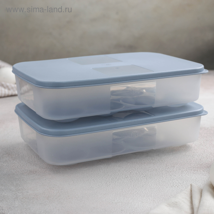 

Набор контейнеров для яиц, 2 шт, 22,5×15×7,5 см, цвет МИКС