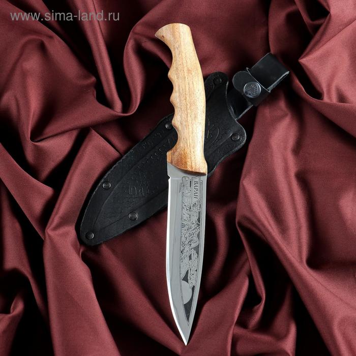 фото Нож туристический "варан" лакированный орех, сталь 40х13 кизляр