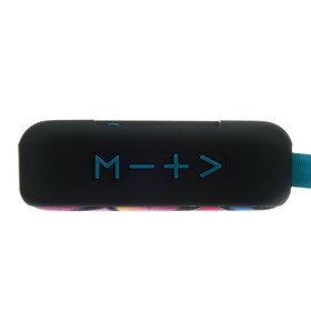 

Портативная колонка Perfeo ZENS PF_A4973, MP3, microSD, USB, AUX, 5 Вт, 500 мАч, граффити