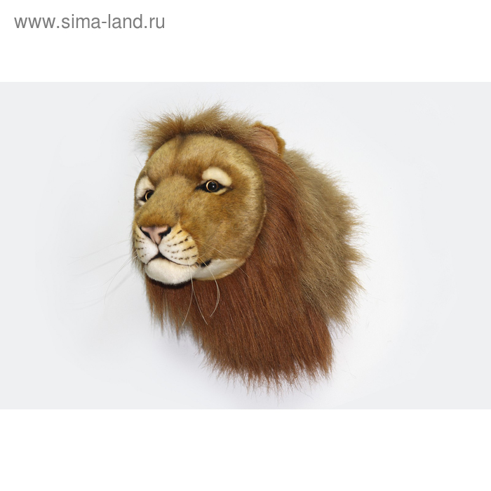 От 20 до 50 см  Сима-Ленд Декоративная игрушка «Голова льва», 39 см